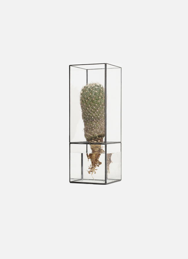 Terra Hydro 240:80 Glass Vase