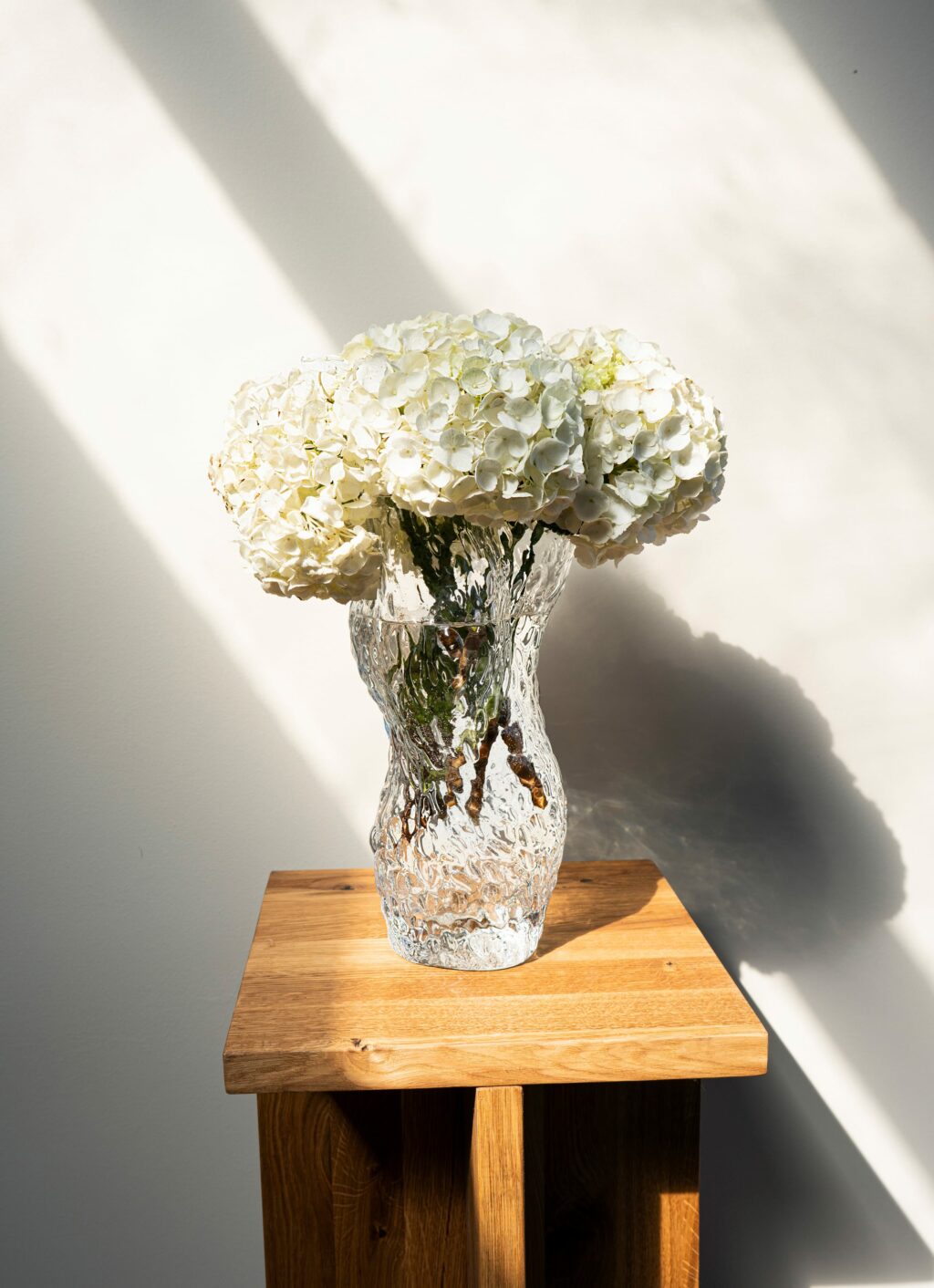 Studio - Ostrea Glass Vase - clear – VOLTA