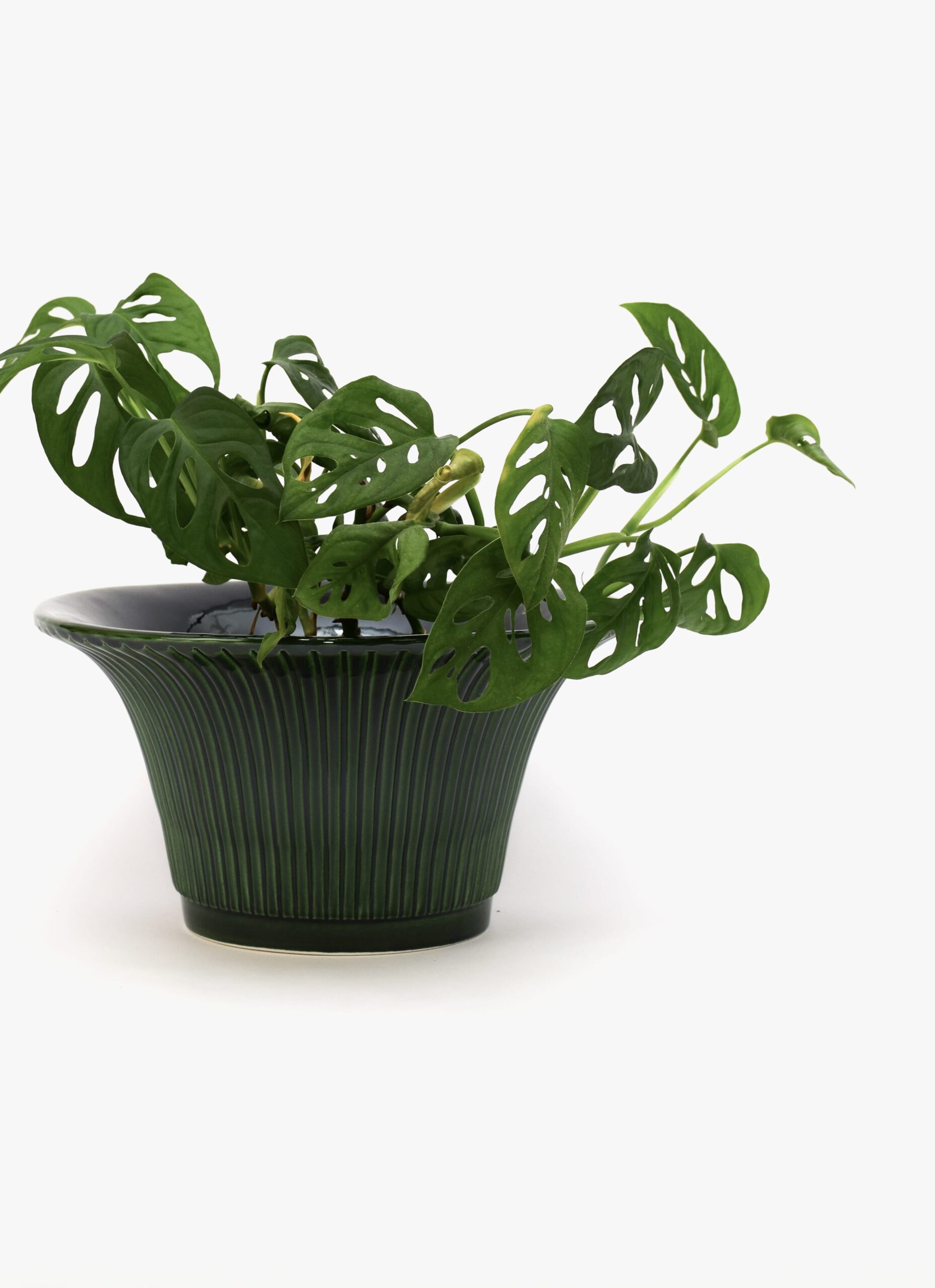Bergs Potter - Plant Pot Daisy - Emerald Green - D30xH16cm