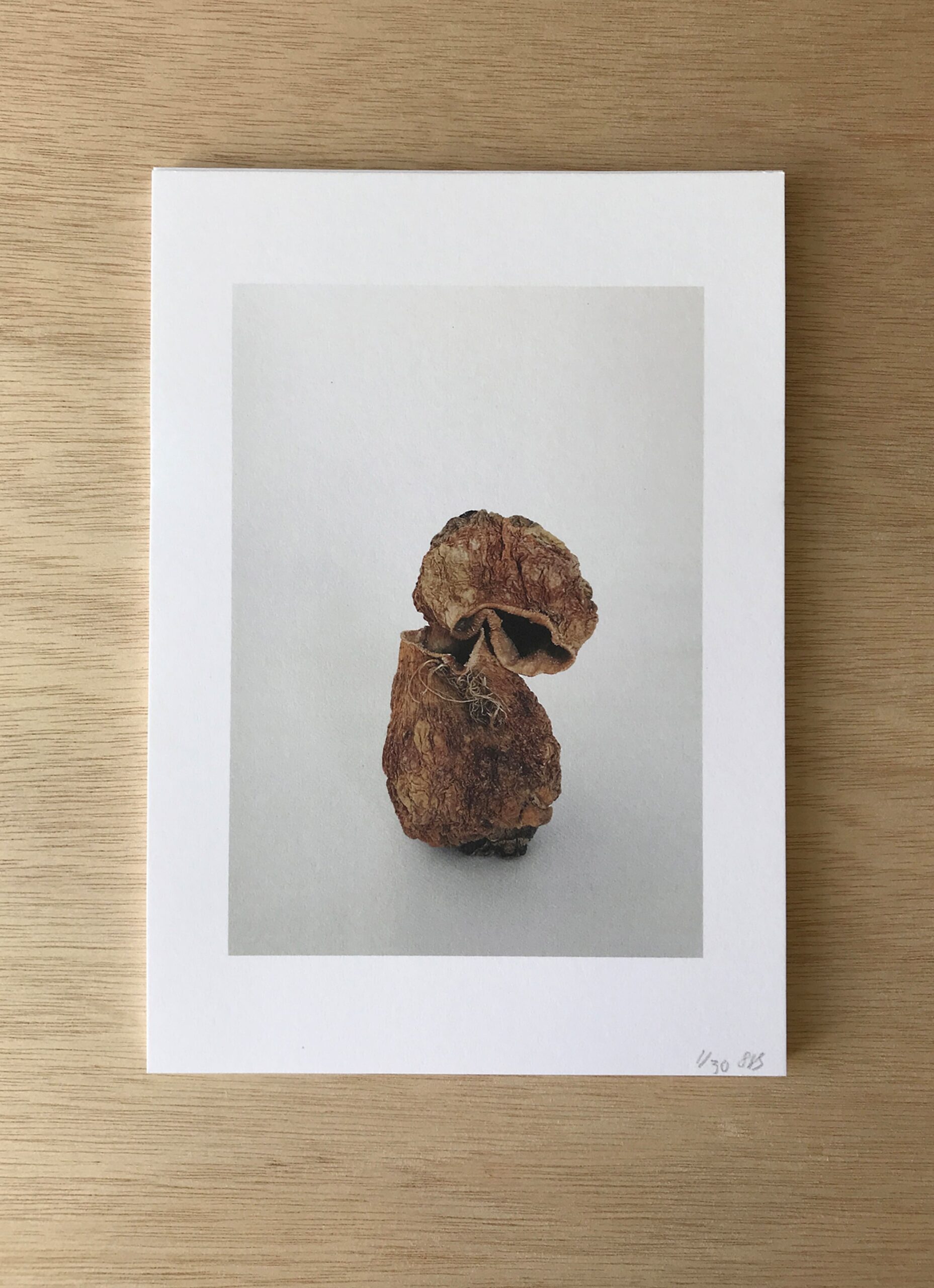 Bonni Bonne - Shalony van Stralendorff - Limited Edition Art print - 178x126mm - Rutabanga