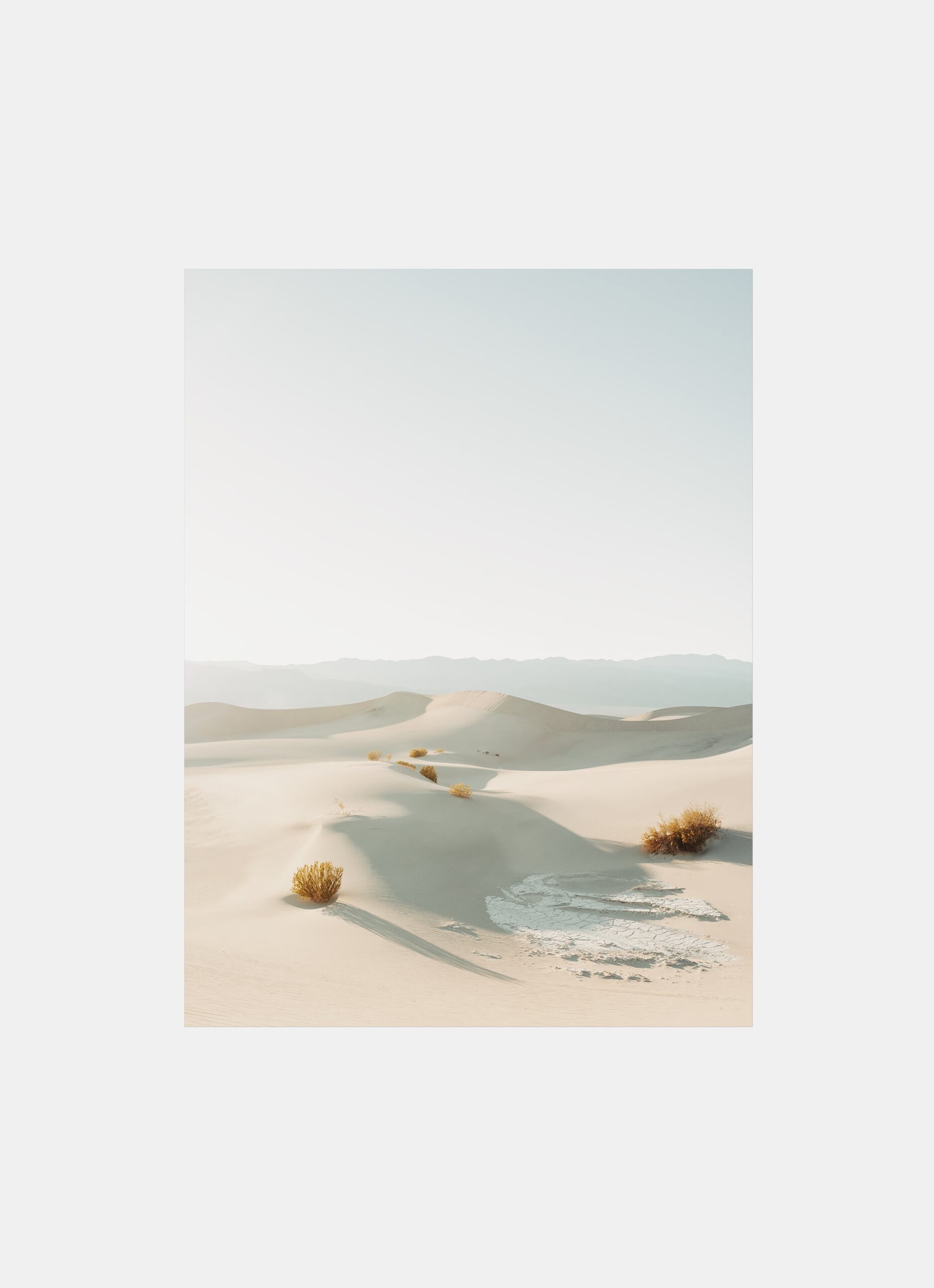 Julius Hirtzberger - Limited Edition Fine Art Print - Mojave Desert - 50x70cm - No. 2 of 20