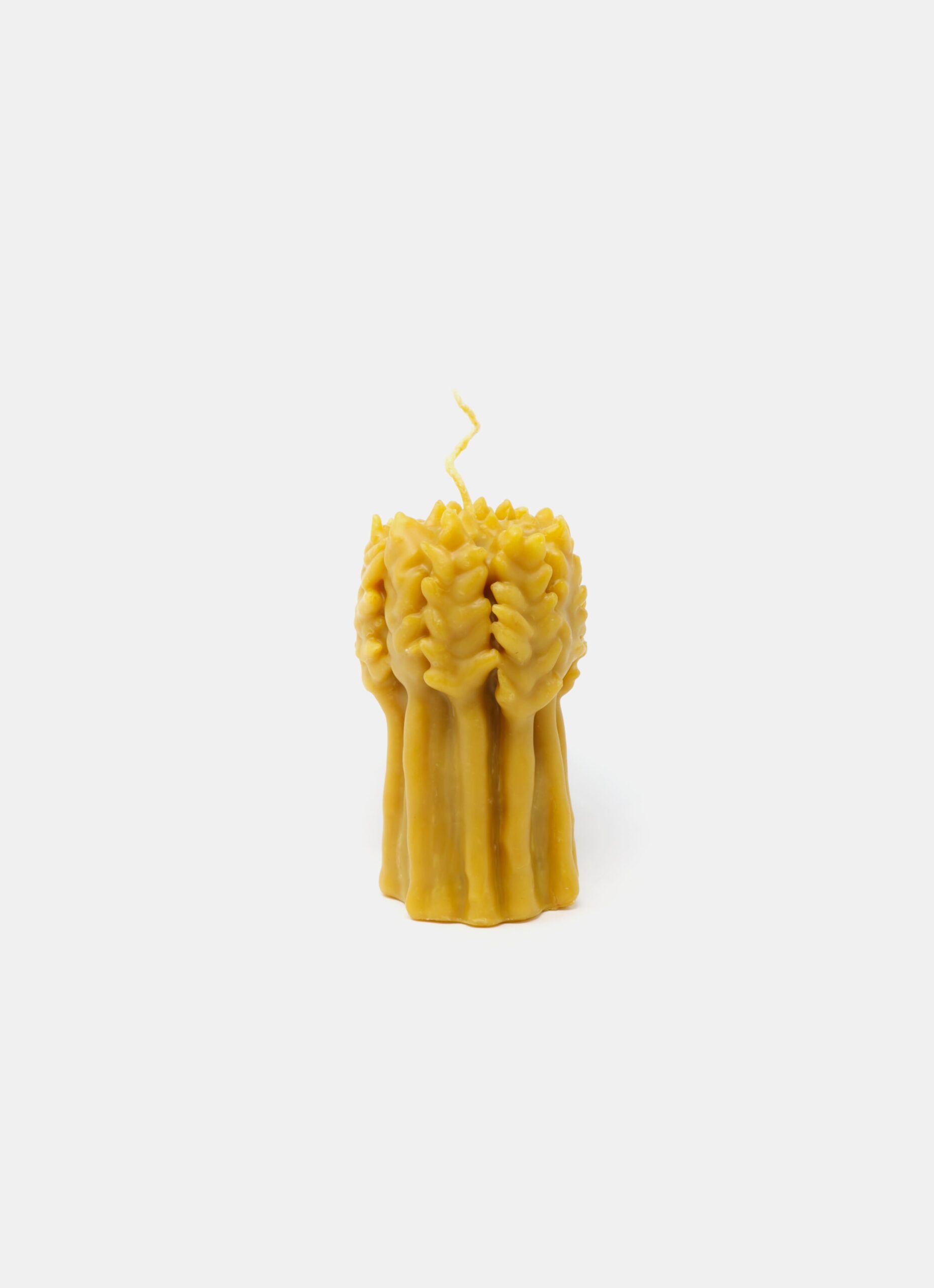 Camille Romagnani - Wheat Bouquet - Beeswax Candle