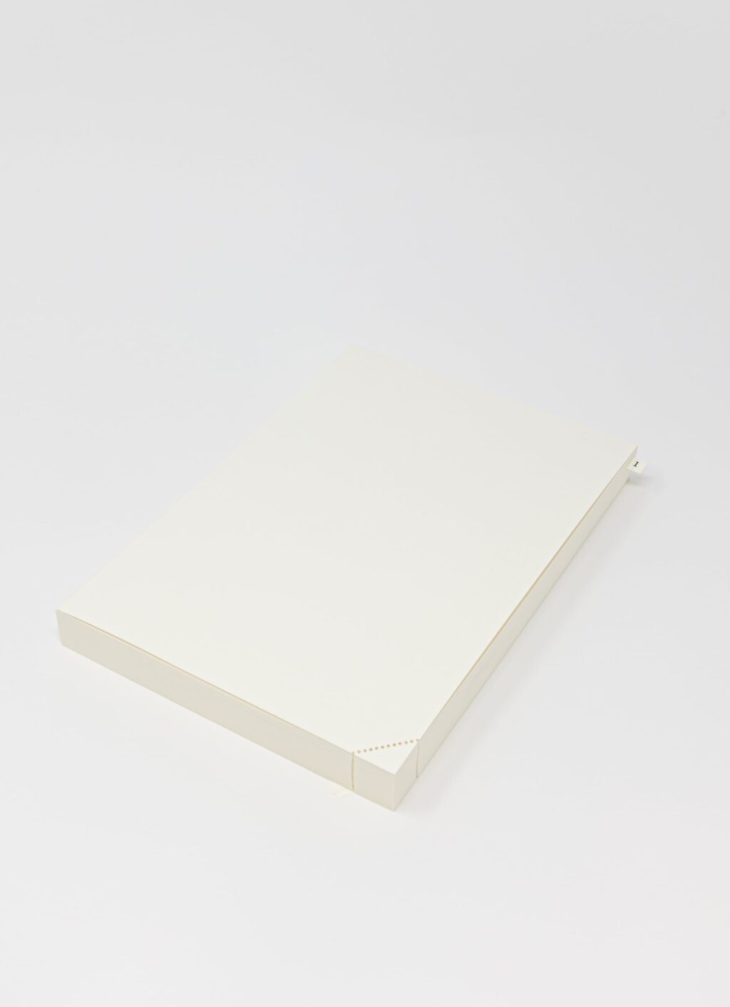 Midori - Notebook - DIN A5 - Codex - Blank with transp. Cover