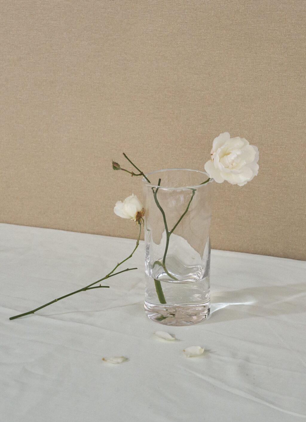 Frama - Glassware - Studio 0405 - Vase - Clear