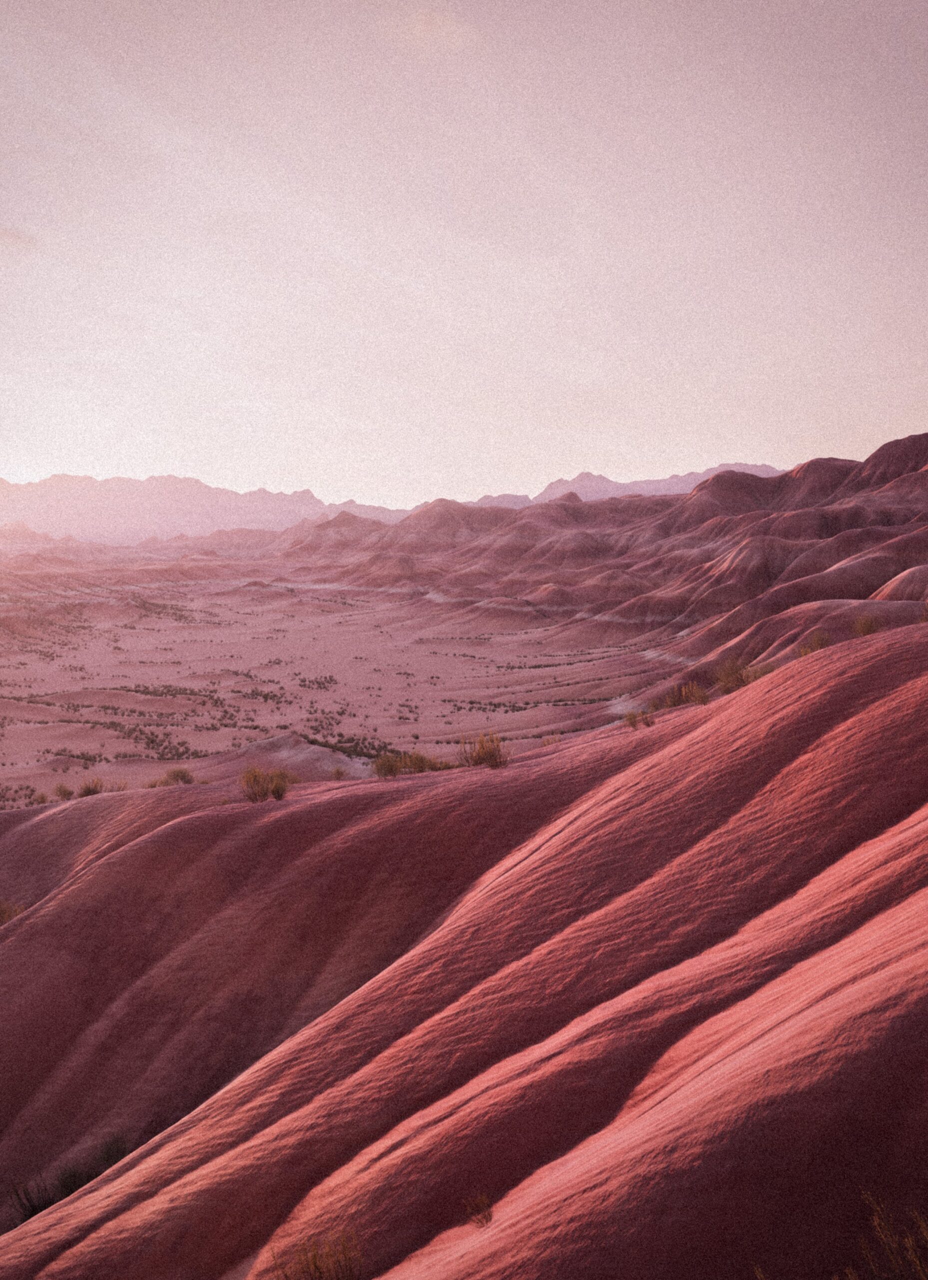 Volta_Frama_landing_Autumn-Winter_2025_Season_Eau-de-Parfum_Painted-Desert_Unisex_Scent_New_October2025_Oil-Diffuser_Candle_Fragrance_Unfussy and energetic, the scent of Deep Forest is reminiscent of the wild Abies fir woods of Korea. A rejuvenating, vibrant fragrance on the body or in a home. Discover a warm, refreshing fragrance that brings peace and comfort when applied.