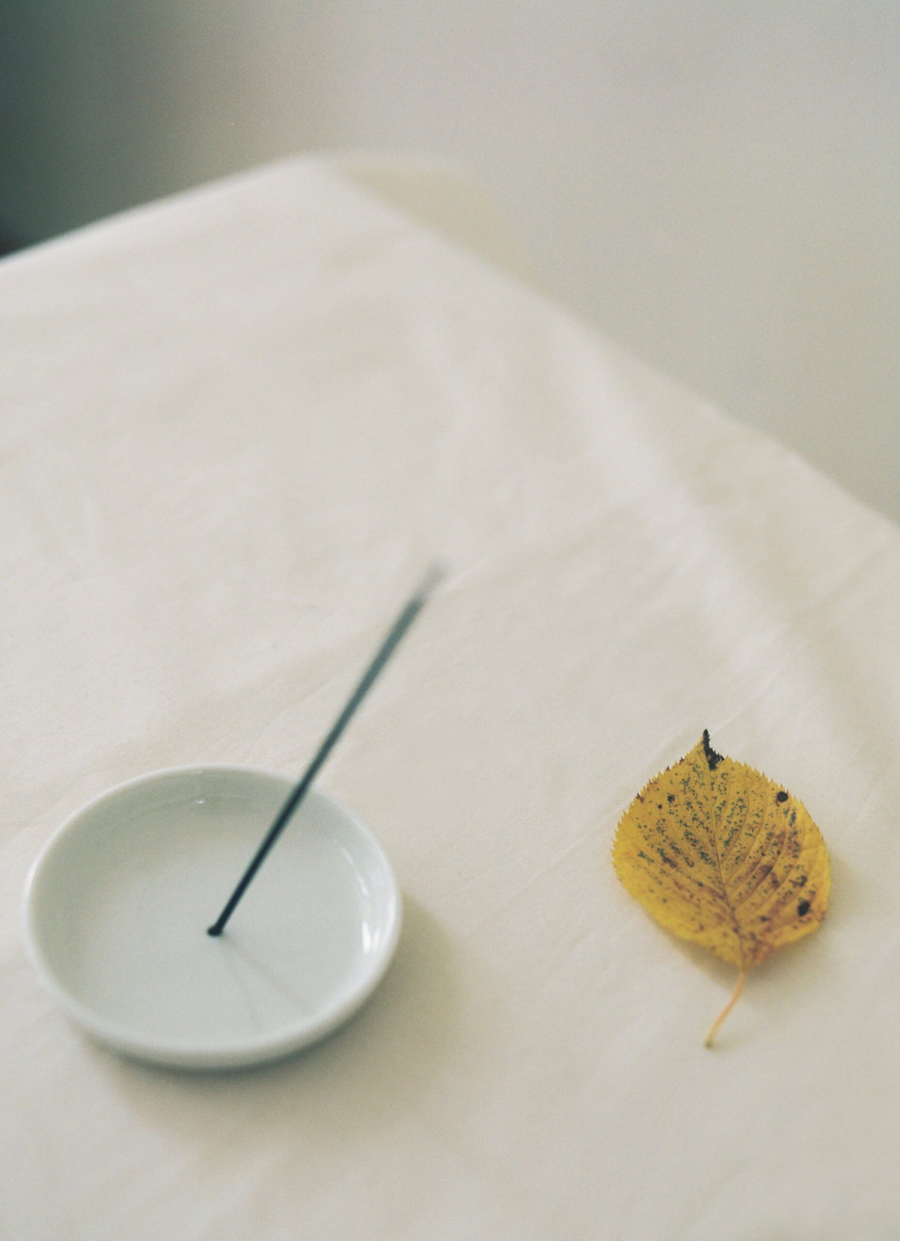 Thelma Paris - Porcelain Incense Holder