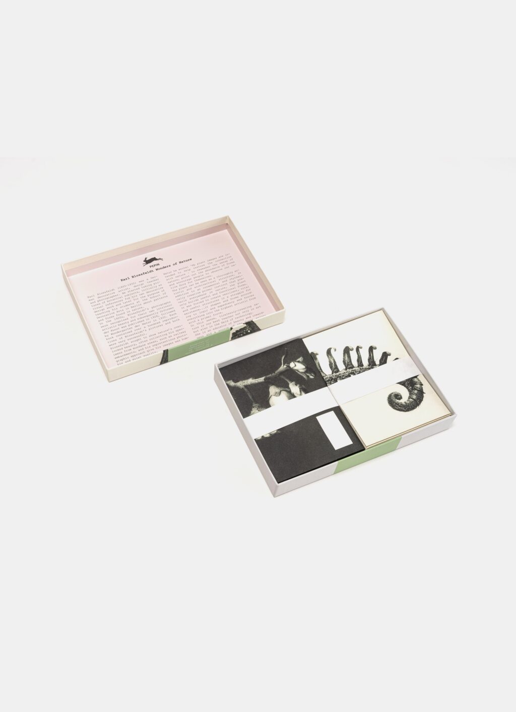 Wonders of Nature - Correspondence Set
